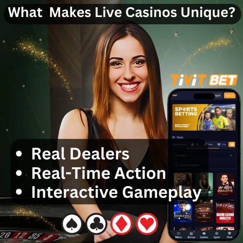 tivitbet casino